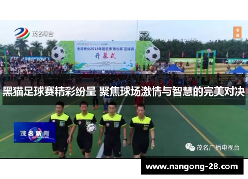 黑猫足球赛精彩纷呈 聚焦球场激情与智慧的完美对决